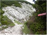 Planina Podvežak - Kocbekov dom na Korošici